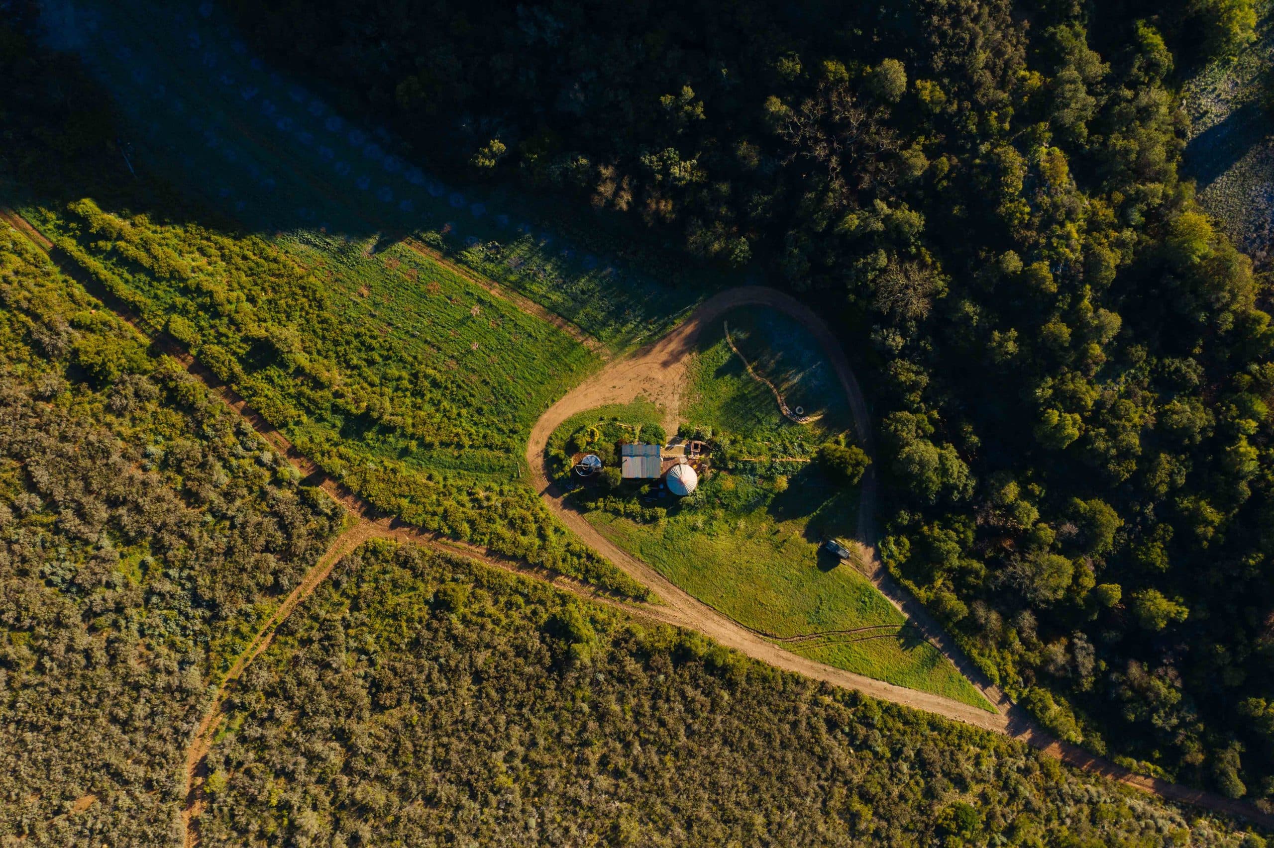Southern Yurts